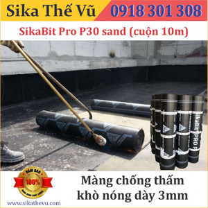 SikaBit PRO P-30-0 Sand